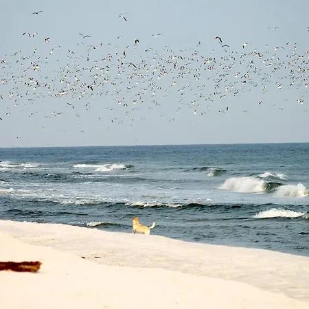 Apartamento White Pearl 3.10