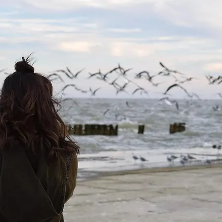 White Pearl 3.10 Timmendorfer Strand